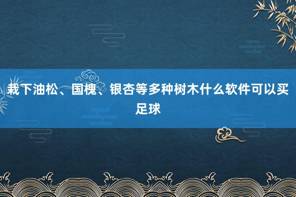 栽下油松、国槐、银杏等多种树木什么软件可以买足球