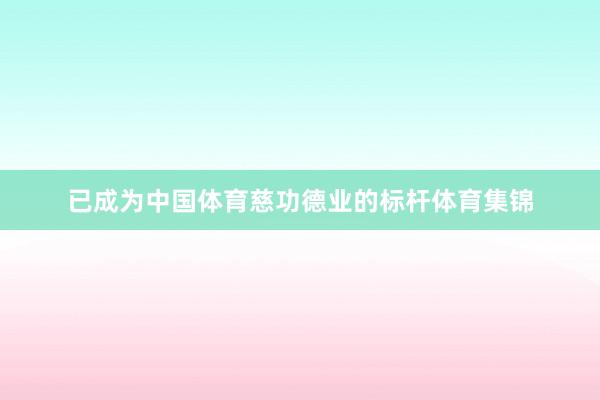 已成为中国体育慈功德业的标杆体育集锦