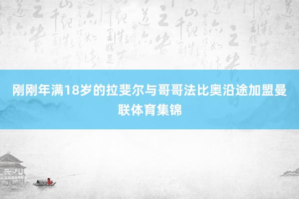 刚刚年满18岁的拉斐尔与哥哥法比奥沿途加盟曼联体育集锦