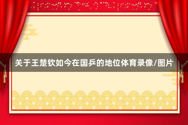 关于王楚钦如今在国乒的地位体育录像/图片