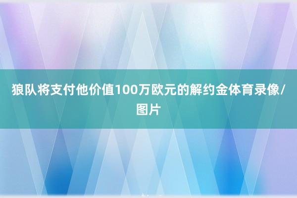 狼队将支付他价值100万欧元的解约金体育录像/图片