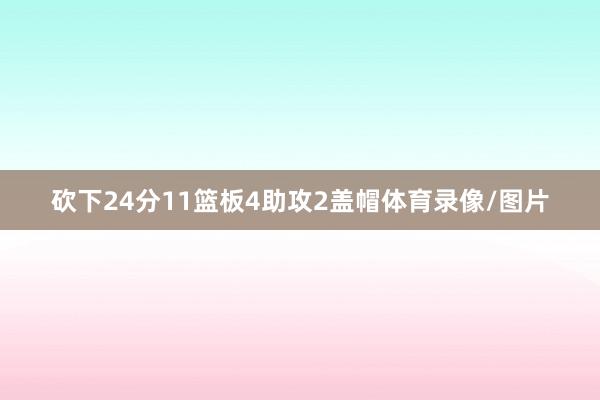 砍下24分11篮板4助攻2盖帽体育录像/图片