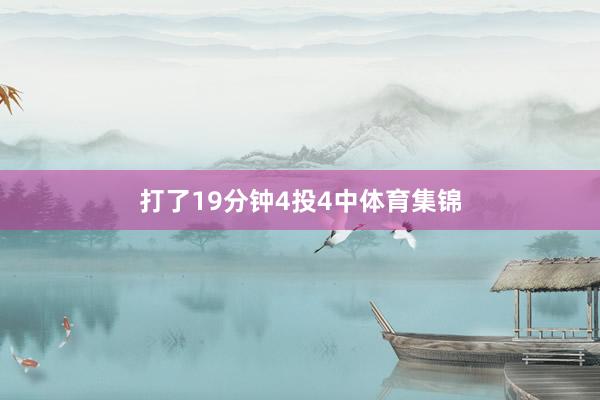 打了19分钟4投4中体育集锦