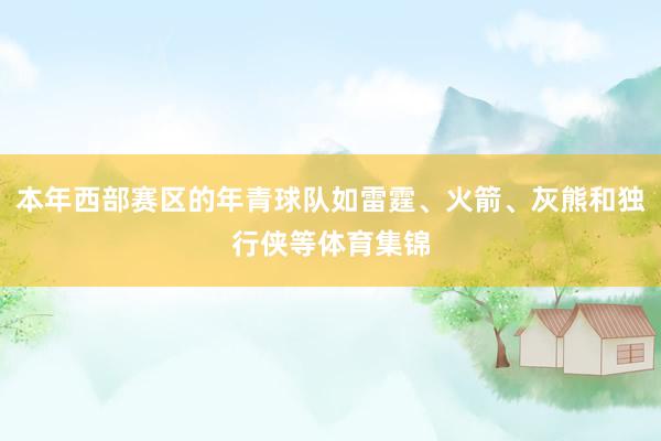 本年西部赛区的年青球队如雷霆、火箭、灰熊和独行侠等体育集锦