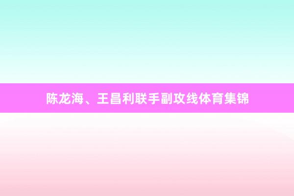 陈龙海、王昌利联手副攻线体育集锦