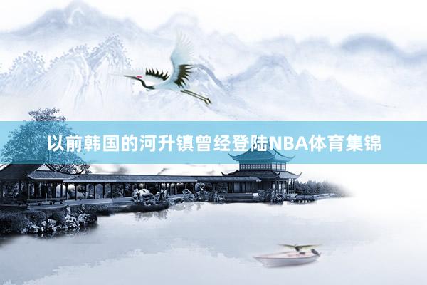 以前韩国的河升镇曾经登陆NBA体育集锦